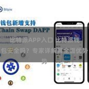 比特派APP入口 比特派钱包安全吗？专家详解其全面优势