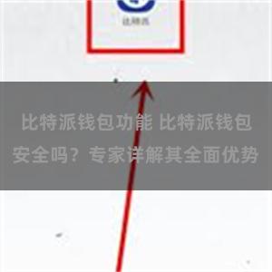 比特派钱包功能 比特派钱包安全吗？专家详解其全面优势