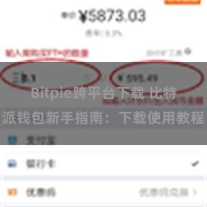 Bitpie跨平台下载 比特派钱包新手指南：下载使用教程