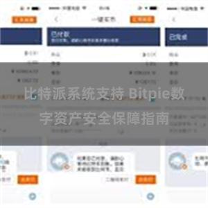 比特派系统支持 Bitpie数字资产安全保障指南