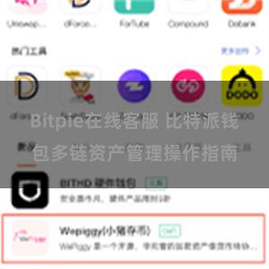 Bitpie在线客服 比特派钱包多链资产管理操作指南