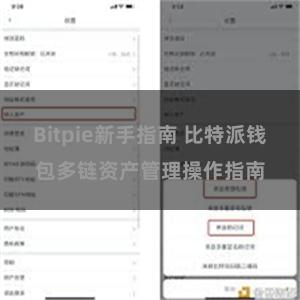 Bitpie新手指南 比特派钱包多链资产管理操作指南