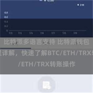 比特派多语言支持 比特派钱包转账教程详解，快速了解BTC/ETH/TRX转账操作