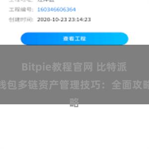 Bitpie教程官网 比特派钱包多链资产管理技巧：全面攻略