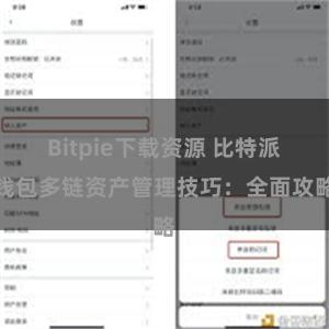 Bitpie下载资源 比特派钱包多链资产管理技巧：全面攻略