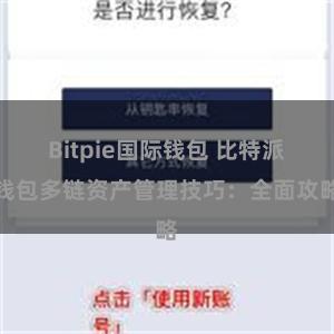 Bitpie国际钱包 比特派钱包多链资产管理技巧：全面攻略