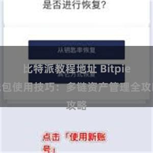 比特派教程地址 Bitpie钱包使用技巧：多链资产管理全攻略