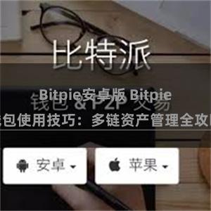 Bitpie安卓版 Bitpie钱包使用技巧：多链资产管理全攻略