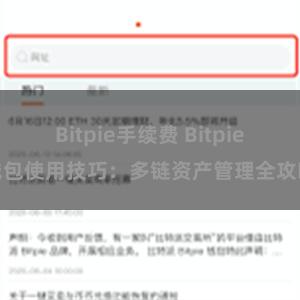 Bitpie手续费 Bitpie钱包使用技巧：多链资产管理全攻略