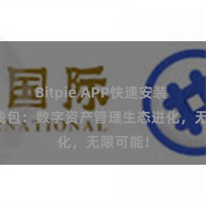 Bitpie APP快速安装 比特派钱包：数字资产管理生态进化，无限可能！