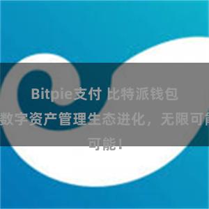 Bitpie支付 比特派钱包：数字资产管理生态进化，无限可能！