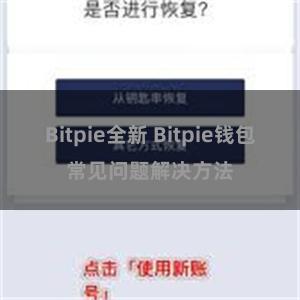 Bitpie全新 Bitpie钱包常见问题解决方法