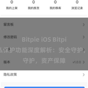 Bitpie iOS Bitpie钱包隐私保护功能深度解析：安全守护，资产保障