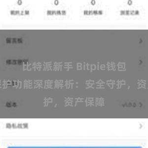 比特派新手 Bitpie钱包隐私保护功能深度解析：安全守护，资产保障