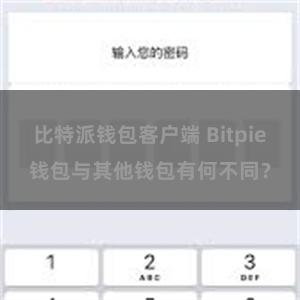 比特派钱包客户端 Bitpie钱包与其他钱包有何不同？