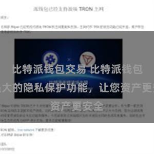 比特派钱包交易 比特派钱包：强大的隐私保护功能，让您资产更安全