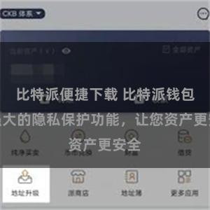 比特派便捷下载 比特派钱包：强大的隐私保护功能，让您资产更安全