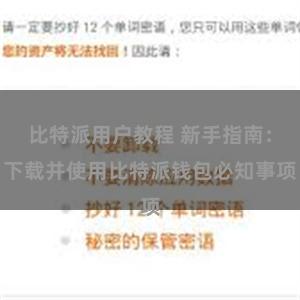 比特派用户教程 新手指南：下载并使用比特派钱包必知事项