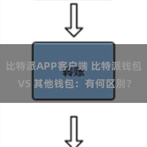 比特派APP客户端 比特派钱包 VS 其他钱包：有何区别？