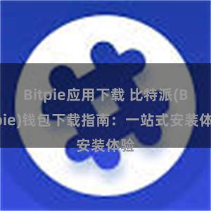 Bitpie应用下载 比特派(Bitpie)钱包下载指南：一站式安装体验