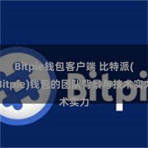 Bitpie钱包客户端 比特派(Bitpie)钱包的团队背景与技术实力