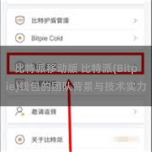 比特派移动版 比特派(Bitpie)钱包的团队背景与技术实力