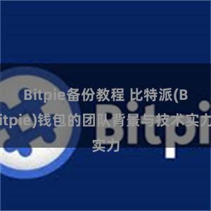 Bitpie备份教程 比特派(Bitpie)钱包的团队背景与技术实力