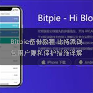 Bitpie备份教程 比特派钱包用户隐私保护措施详解