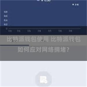 比特派钱包使用 比特派钱包如何应对网络拥堵？