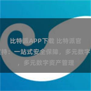比特派APP下载 比特派官方多币支持：一站式安全保障，多元数字资产管理