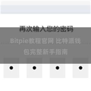 Bitpie教程官网 比特派钱包完整新手指南