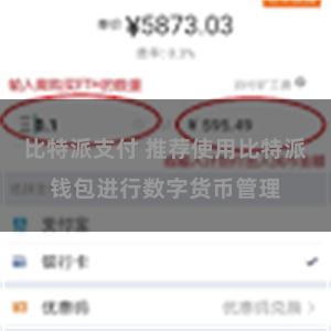 比特派支付 推荐使用比特派钱包进行数字货币管理