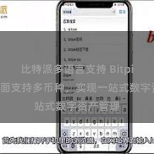 比特派多语言支持 Bitpie钱包全面支持多币种，实现一站式数字资产管理