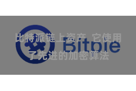 比特派链上资产  它使用了先进的加密算法