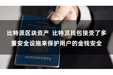 比特派区块资产  比特派钱包接受了多重安全设施来保护用户的金钱安全