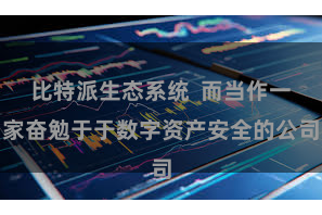 比特派生态系统  而当作一家奋勉于于数字资产安全的公司