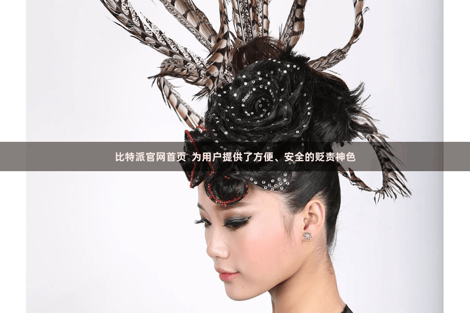 比特派官网首页  为用户提供了方便、安全的贬责神色